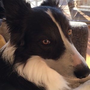 Meet your Posher, Lawrence